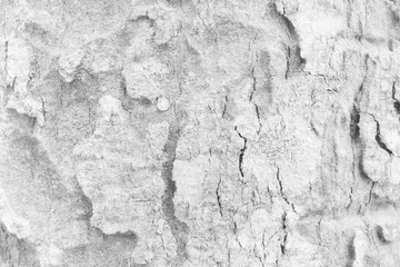 white old wood textures background