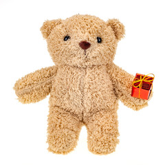 Teddy bear brown holding gift box, white background