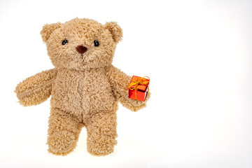 Teddy bear brown holding gift box, white background