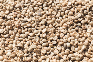 Coffee beans closeup background. green unroasted coffee beans.