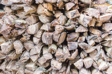 Wood texture or wood background. wood for interior exterior decoration and industrial construction concept design. wood motifs that occurs natural.