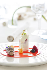 Beautiful elegant colorful dessert in a plate