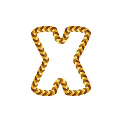 X Braid Letter Logo Icon Design
