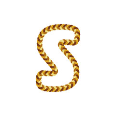 S Braid Letter Logo Icon Design