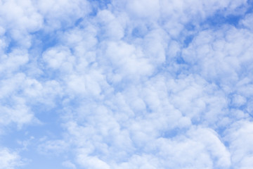 Obraz premium blue sky with cloud