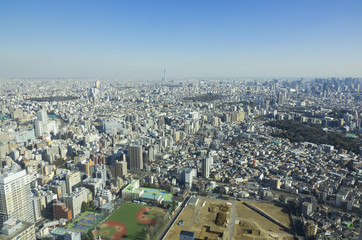 Fototapeta premium 東京風景 東京スカイツリーと町並み