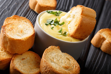cheese dip sauce with toasted bread close-up. horizontal