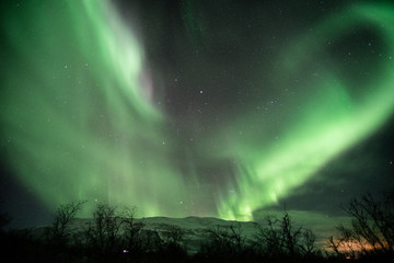 Northern lights