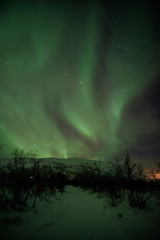 Northern lights