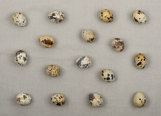 Obraz na płótnie Canvas Quail Eggs on Wood Background