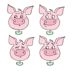 Set of pig's emotions