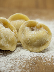 frisch gemachte Pelmini