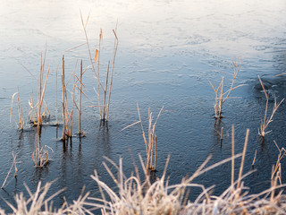 Schilf und Eis am Neusiedlersee