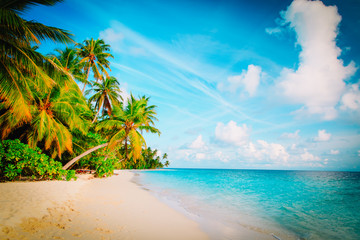 Fototapeta na wymiar tropical sand beach with palm trees