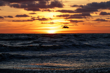 Obraz premium beautiful sunset on the sea