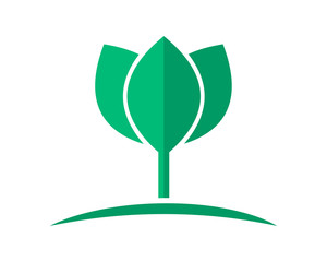 green lotus flower flora floral plant nature image vector icon