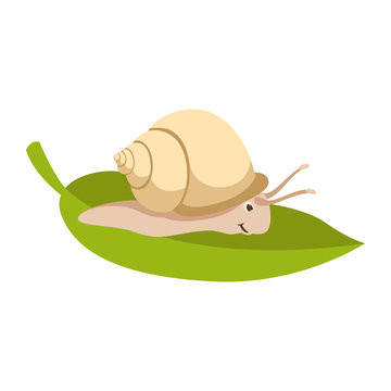 snail  cartoon  vector illustration flat style  profile