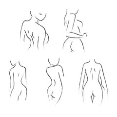 hand draw sexy woman body line