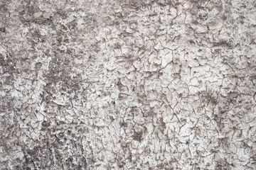 Texture. Old cracked plaster