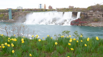 Niagara Falls of US. side