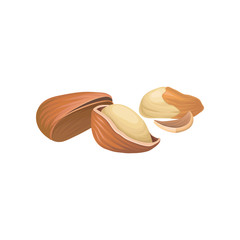 Detailed vector illustration of ripe Brazil nuts. Healthy nutrition. Culinary ingredient. Organic product. Tasty snack. Vegetarian food. Cartoon hand drawn icon