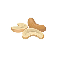 Cashew without shell. Nut icon. Organic and healthy food. Concept of vegetarian nutrition. Graphic element for product packaging. Detailed flat vector design