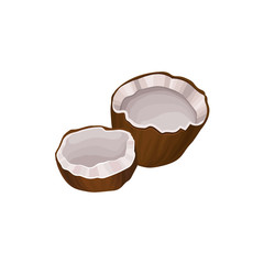 Two halves of coconut. Tropical food. Natural product. Graphic design element for eco-cosmetics emblem or shampoo label. Detailed flat vector icon