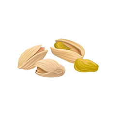 Pistachio nuts in beige shell. Organic and healthy product. Concept of food and nutrition. Realistic hand drawn design for product packaging. Detailed vector icon