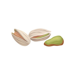 Pistachio nuts one peeled kernel, two in hard shell. Objects for product packing or cover design. Organic raw food. Vegetarian nutrition. Detailed vector illustration