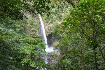 waterfall betwenn some trees