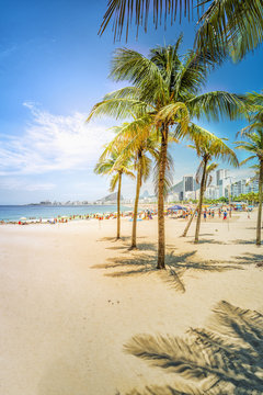 Palms with sunshine on Copacabana Beach. Lighrt effect. Rio de Janeiro, Brazil