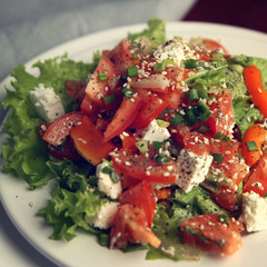 Tomato salad on the white plate. European cuisine. Close up. Colorful salad with vegetables and cottage cheese. Lacto vegetarian dish. Tomatoes, celery, leafy greens and sesame seeds.