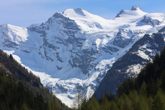 Gran Paradiso Massif seen from Cogne. Valle D'Aosta. Italy