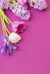 beautiful flowers on paper background