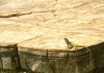 stone texture background