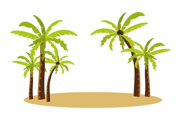 Palm Trees isolated on white background