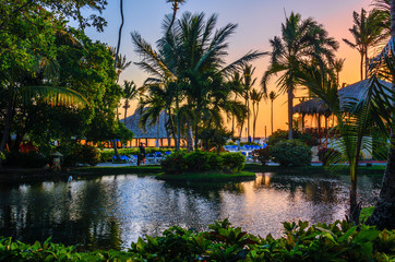 Fototapeta na wymiar Multicolored tropical dawn with pond and palm trees, white pelican