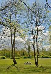 Resting place in the spring meadow