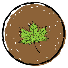 Maple leaf icon