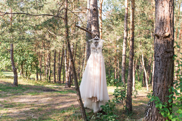 Wedding pink dress on hanger on the tree in the forest. Beautiful gown. Wedding