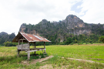 Fototapeta na wymiar Ban Mung at Noen maprang Phitsanulok Thailand.