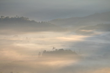 morning fog mountain in Thailand 