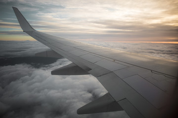 Obraz premium Plane Wing