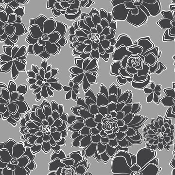 seamless pattern with succulents flowers drawings