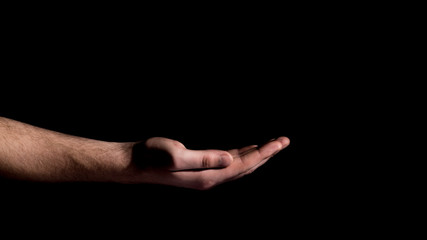 Fototapeta premium male hands concept