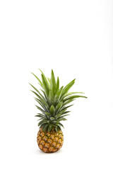 Ripe pineapple on white