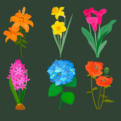 Beautiful vector flower bouquet design decoration nature design floral flower drawing leaf blossom botanical spring woman gift illustration