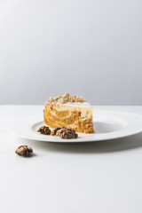 Closeup view of cake on plate surrounding by walnuts