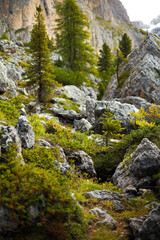 Fototapeta na wymiar Typical beautiful landscape somewhere in Dolomites