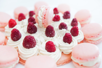 Raspberry Cake with Macarons